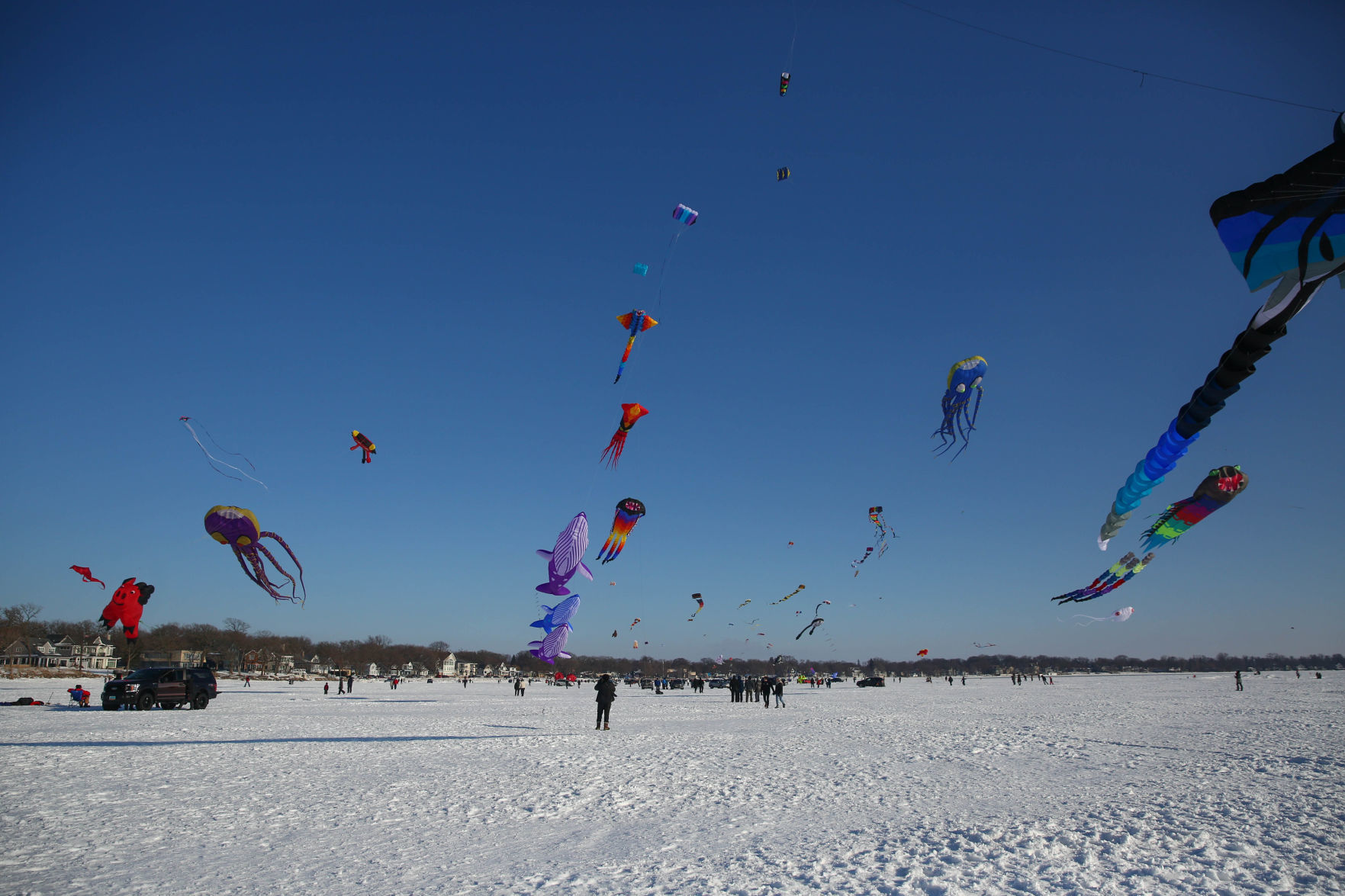 Color the Wind kite festival 02-15-2020 (70).jpg